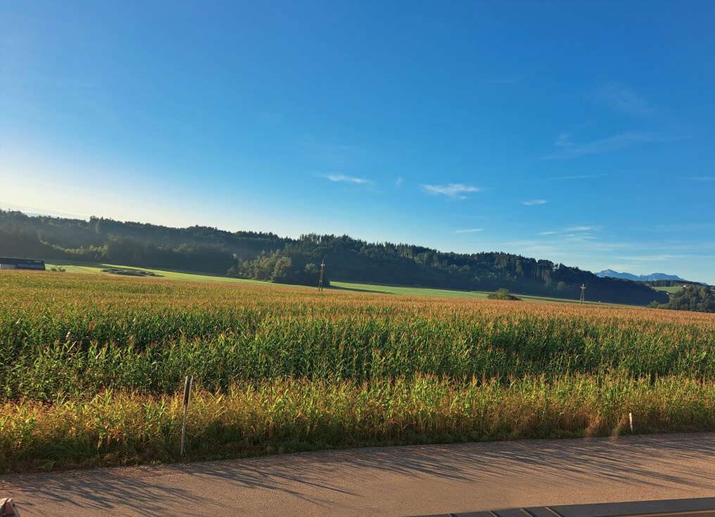 3 zimmer in franking am holzoestersee umgebung